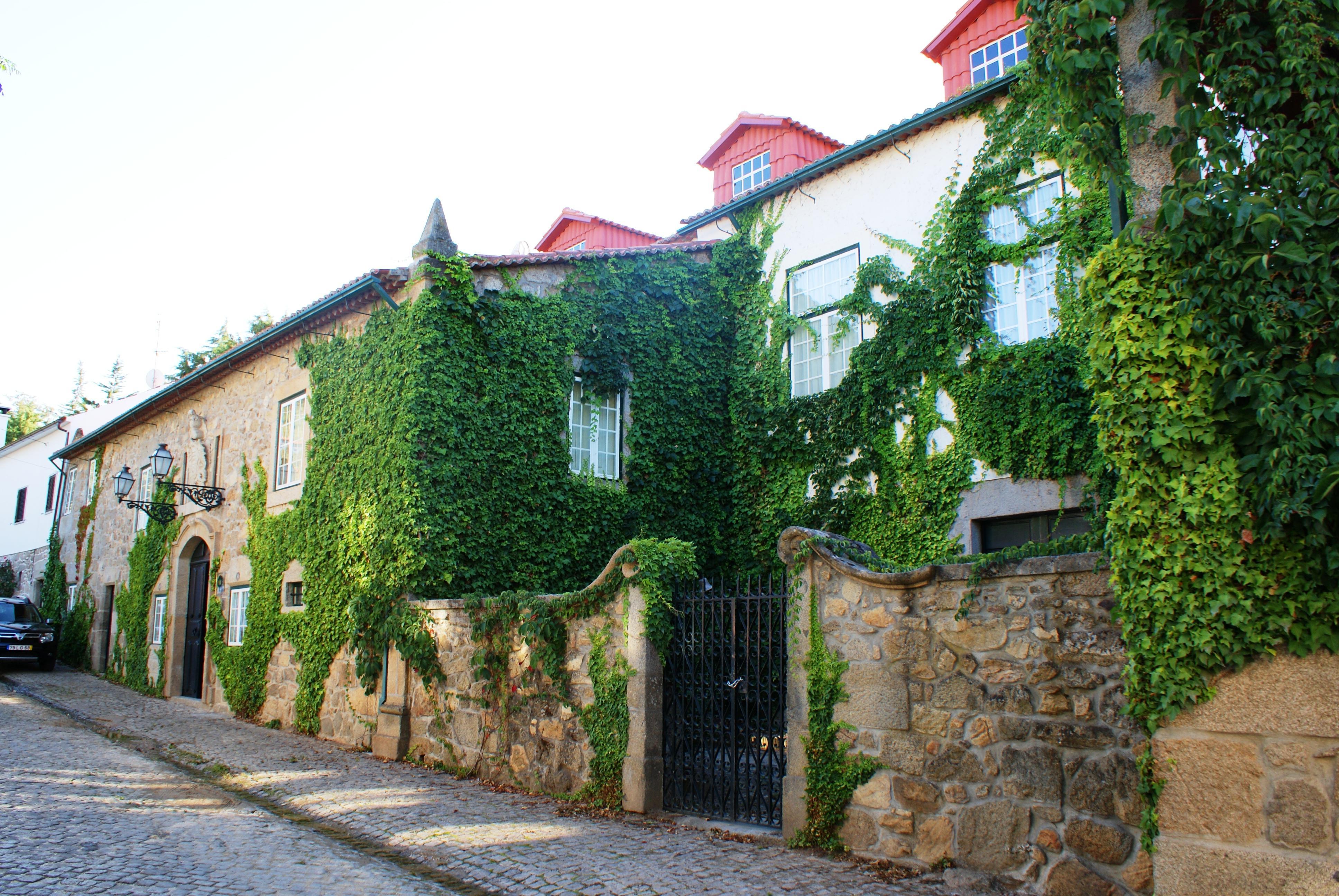 Casa Do Cimo
