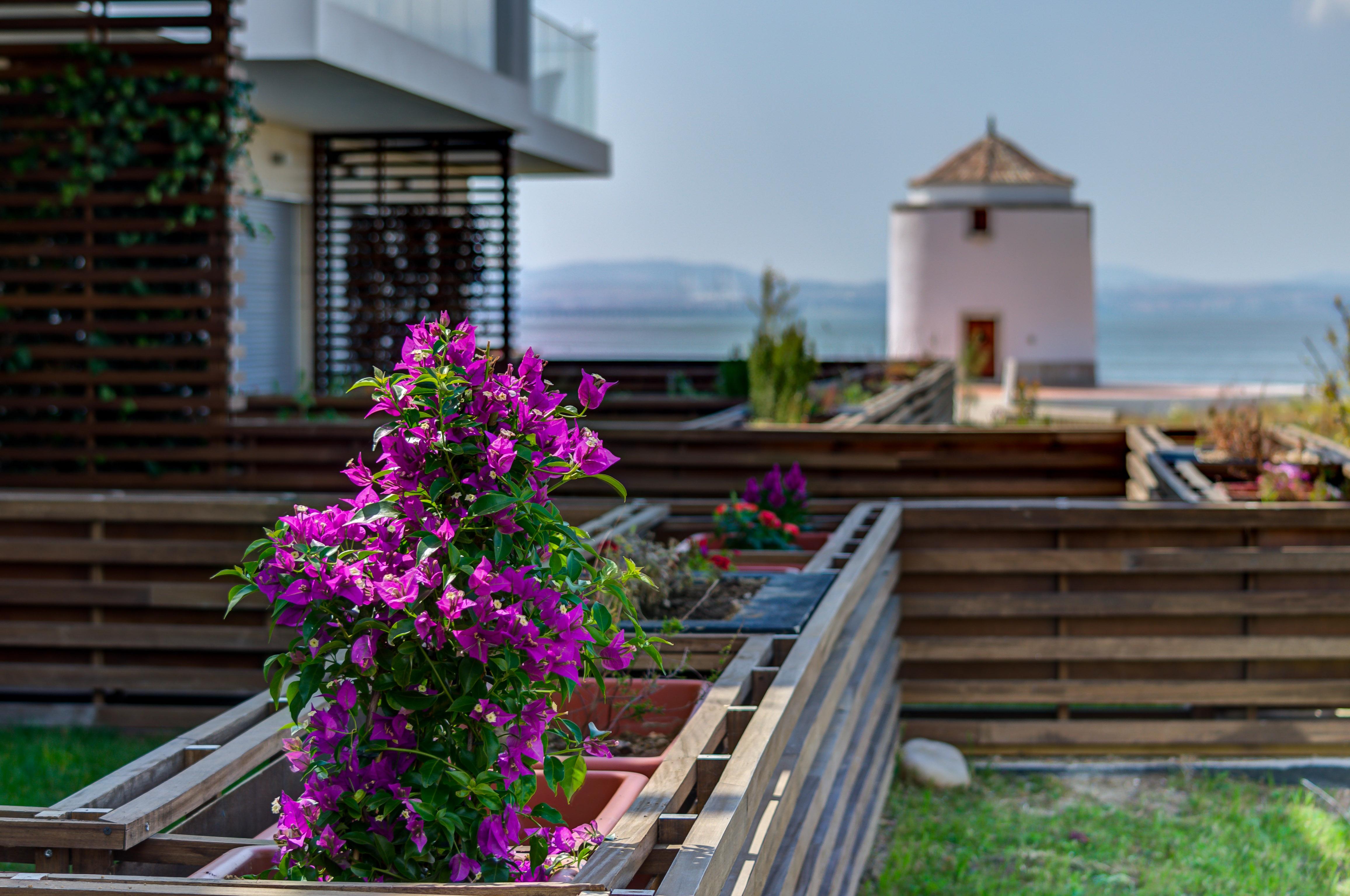 Resort Do Sal 4*