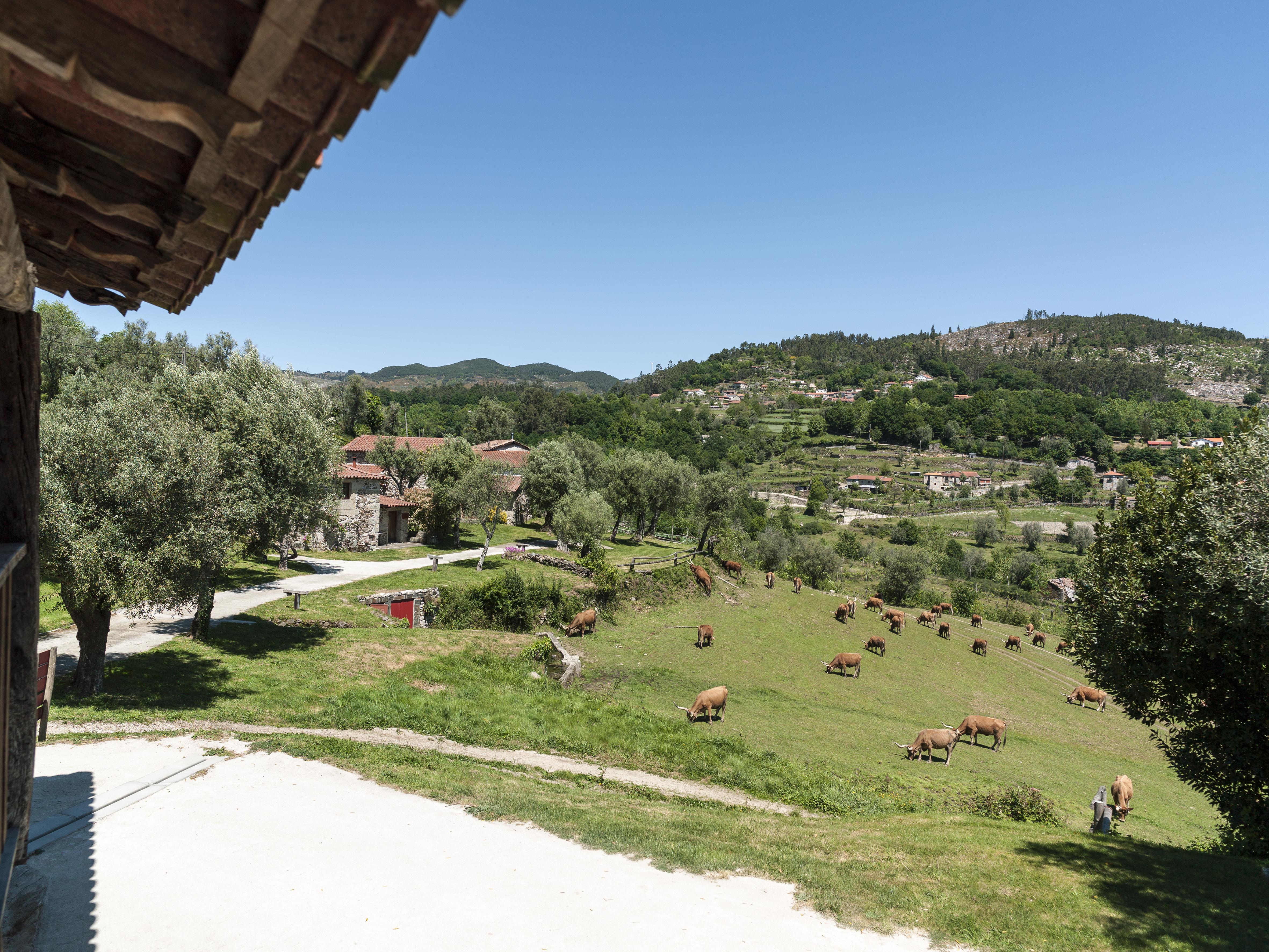 Quinta Do Rapozinho * Cabeceiras de Basto