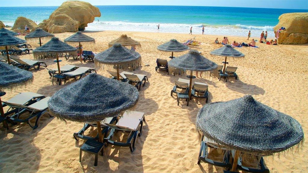 Hotel Regency Salgados Hotel&spa 4*