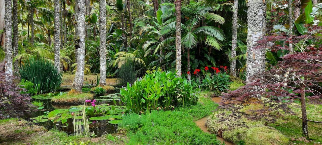 Vakantiehuis Quinta Da Espadana