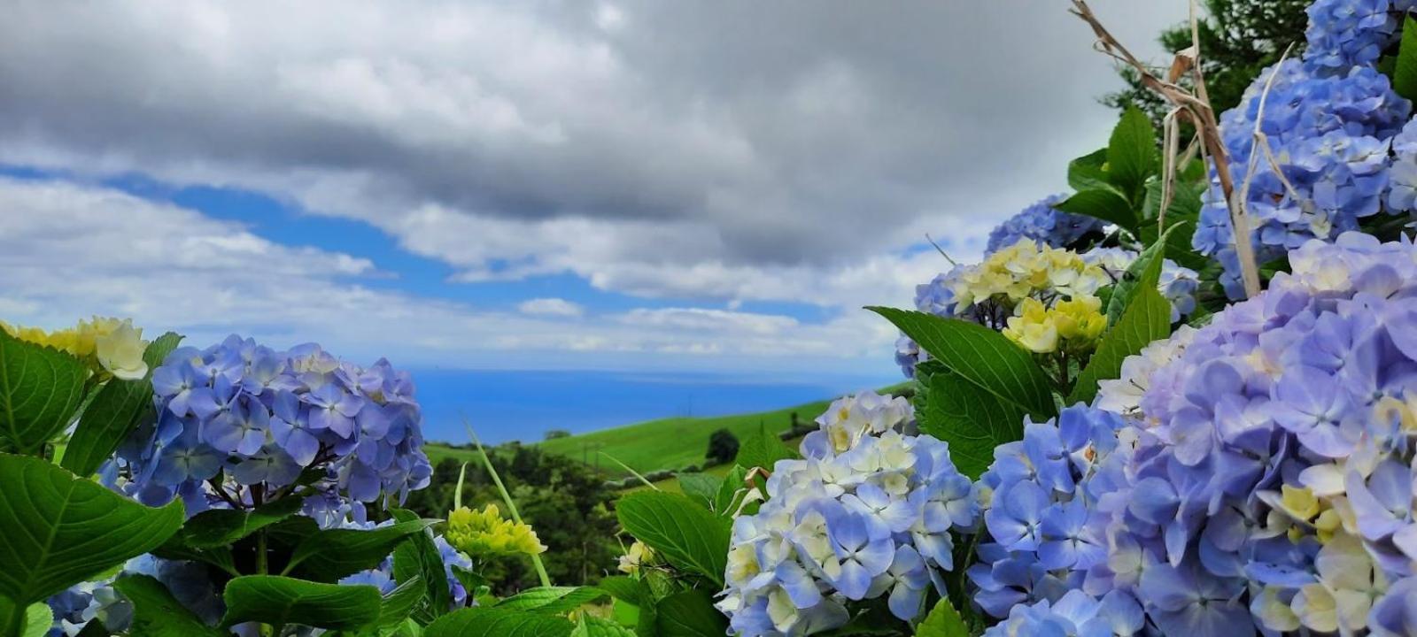 Quinta Da Espadana * Povoacao (Sao Miguel)