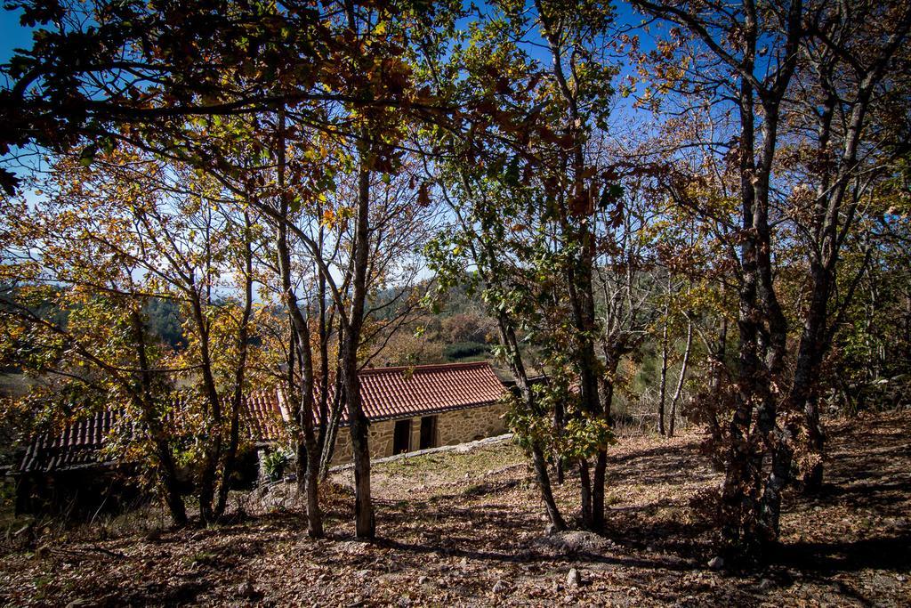 Country house Casas Dos Avos *