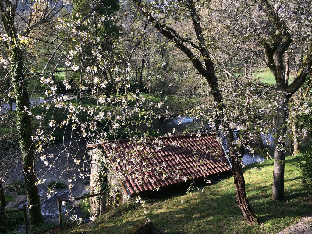 Quinta Do Rio Homem Сasa de vacaciones