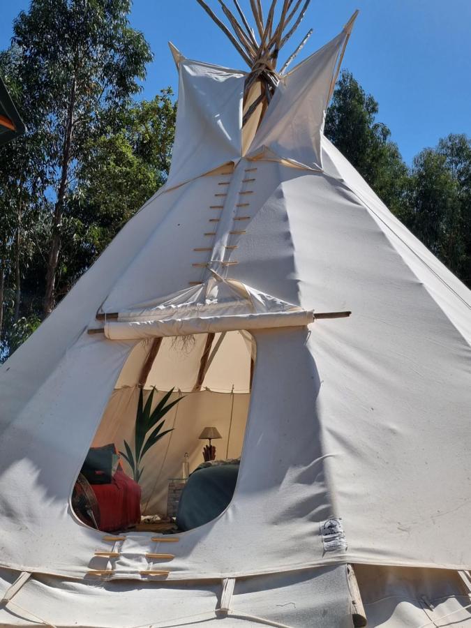 Goodmuda Tipi's *