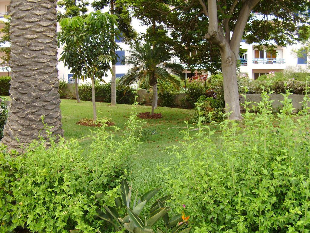 Appartement Casa Branca By Wanderlust Madeira, Vacation