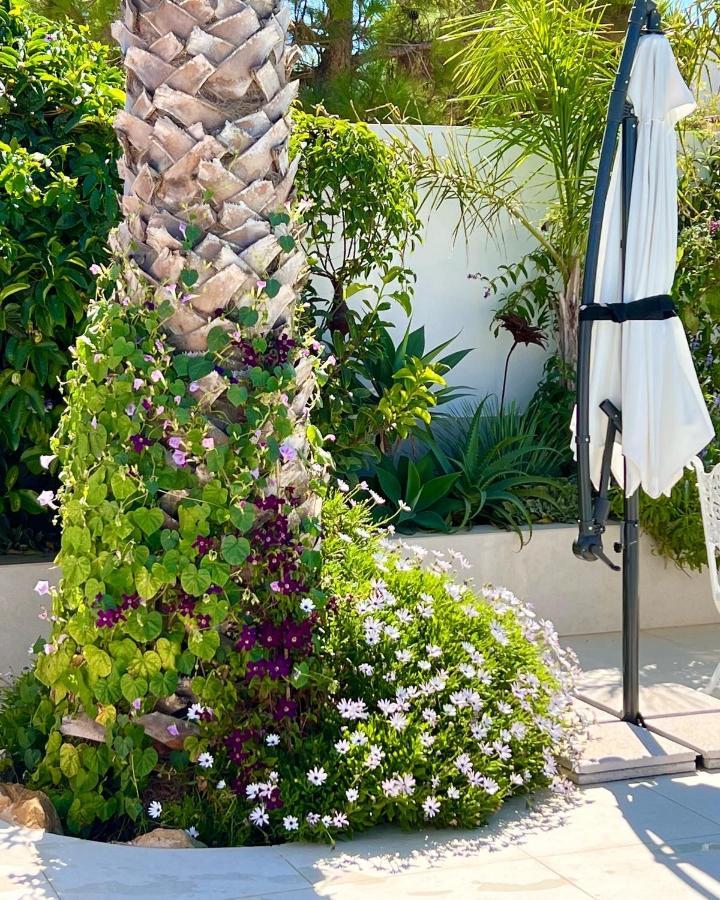 Palm View Guesthouse, Adults Only Bed & Breakfast Praia Da Luz