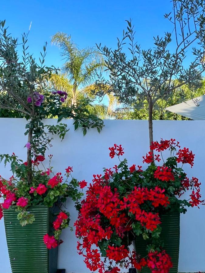 Palm View Guesthouse, Adults Only Bed & Breakfast *