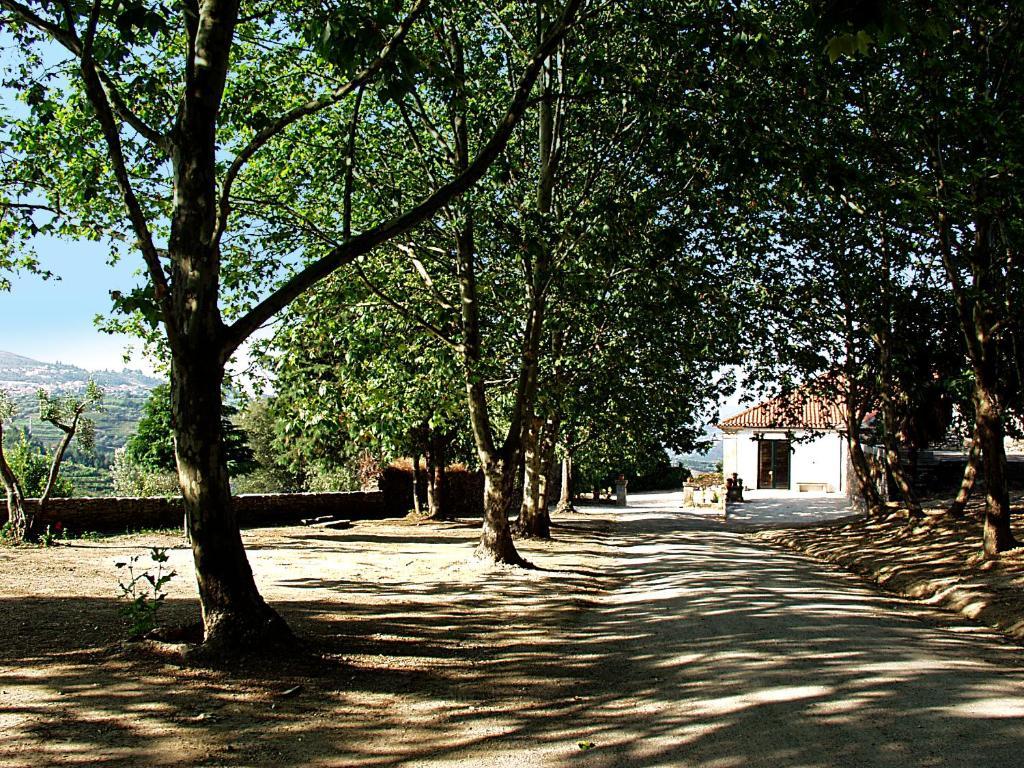 Casa De Vilarinho De S. Romao