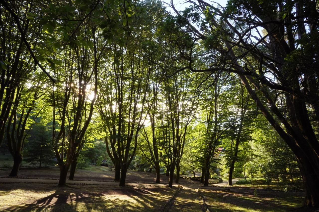 The Grove Guimarães