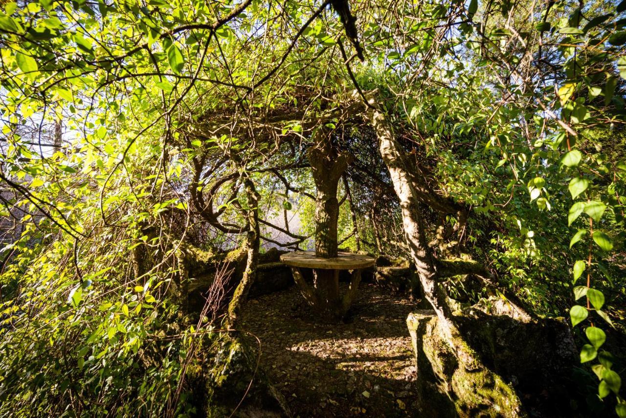 Landhuis The Grove Guimarães