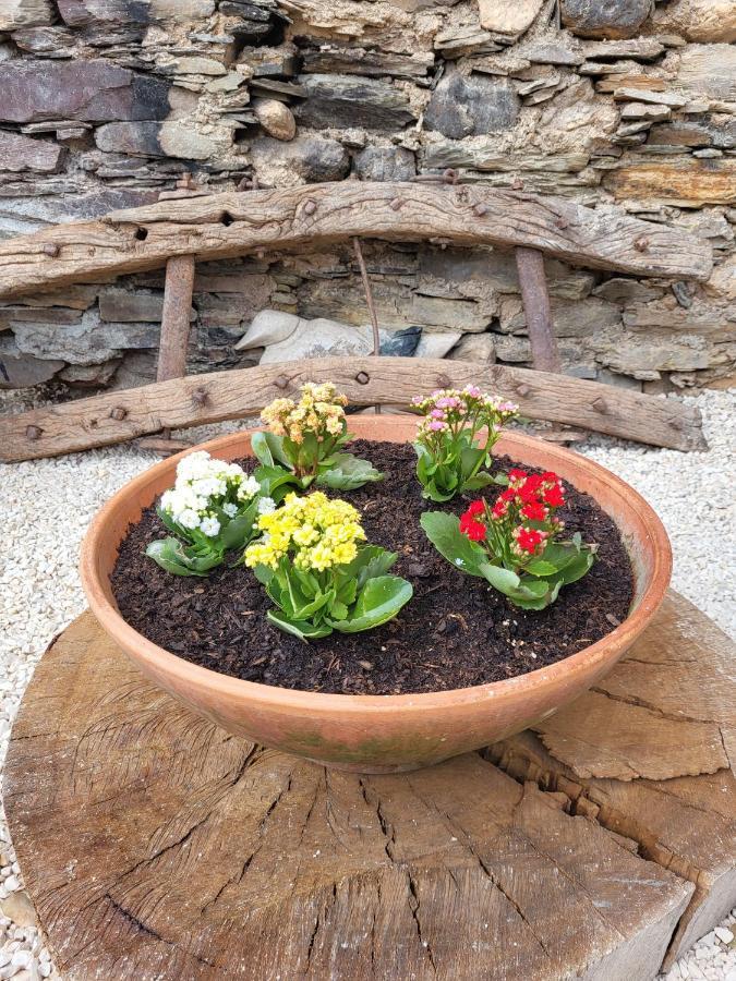 Alva Bed & Breakfast Coja