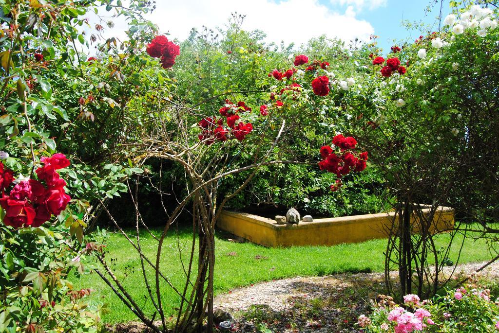 Guest house Margarida's Place 3*