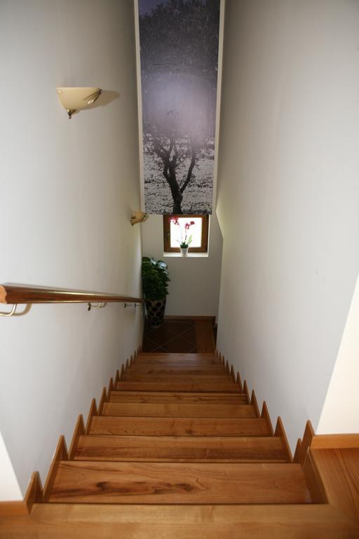 Casa Do Olival Guest house