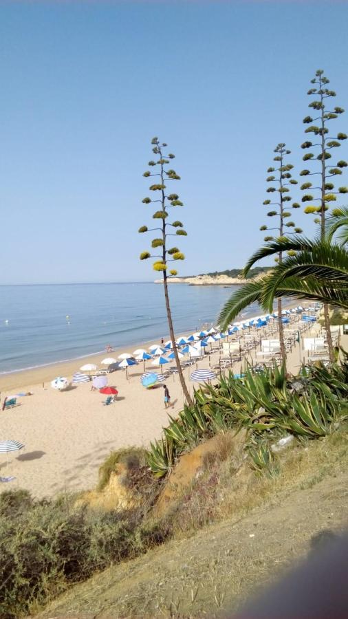 Do Algarve Apartamento