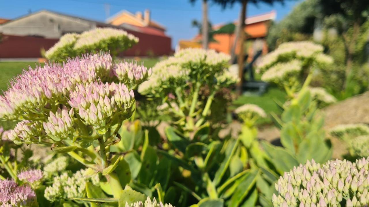 Vakantiehuis Hollidays Dreams Póvoa de Varzim