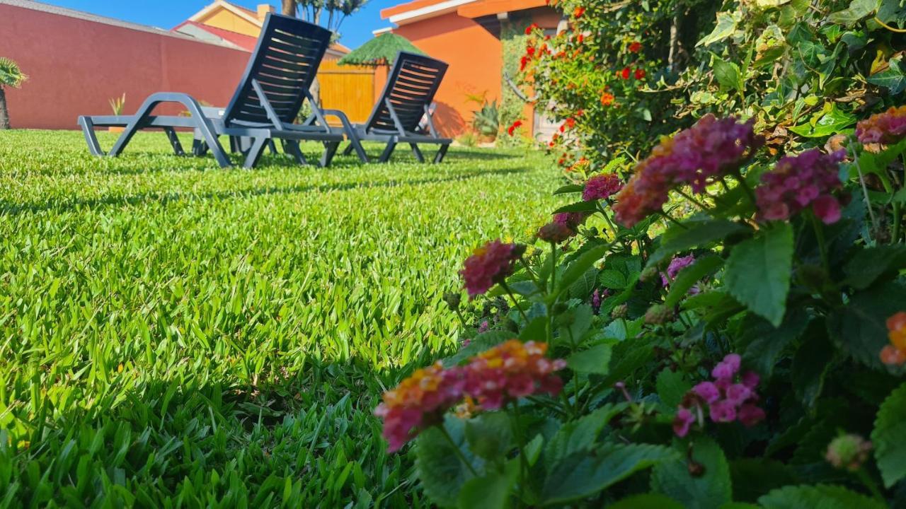Hollidays Dreams Povoa de Varzim