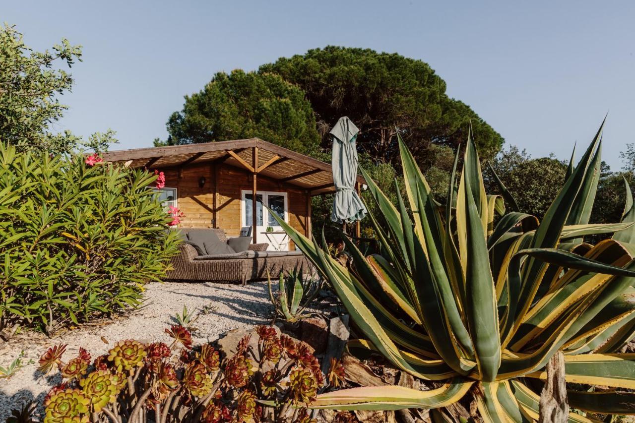 Quinta Bohemia Сasa de vacaciones Moncarapacho