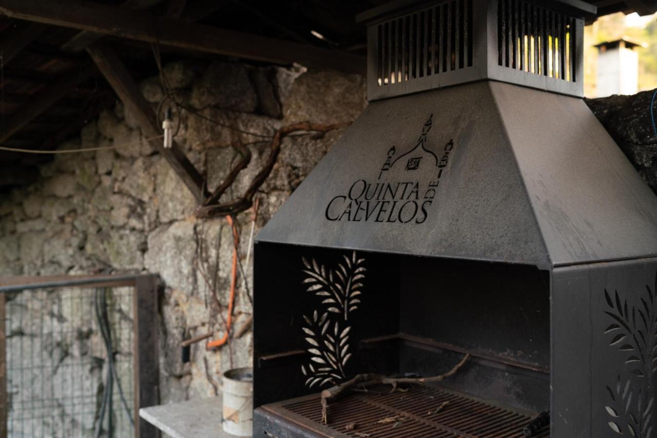 Farm stay Quinta De Calvelos