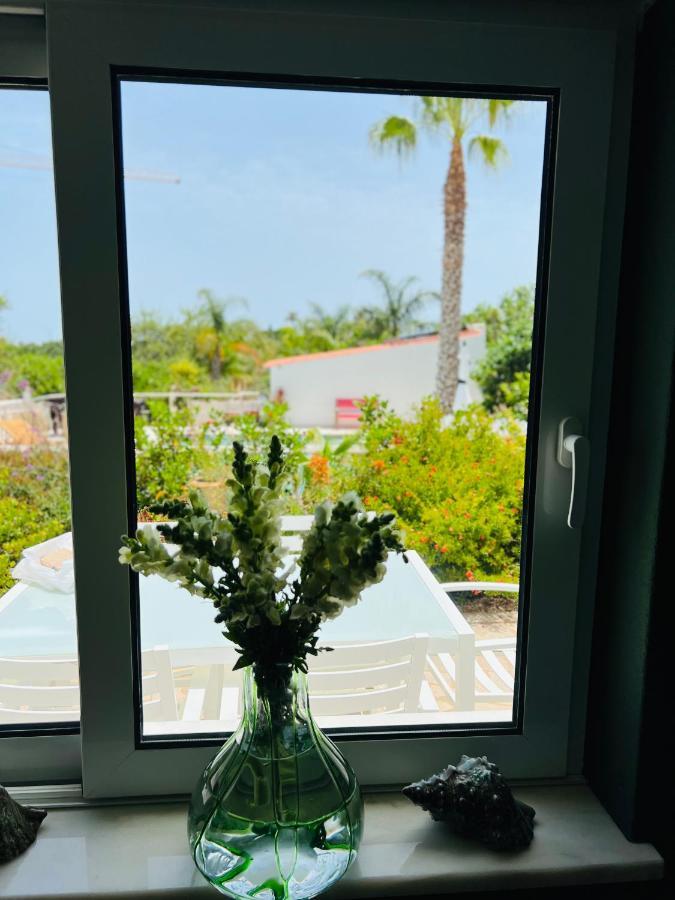 Bed & Breakfast Palm View Guesthouse, Adults Only *