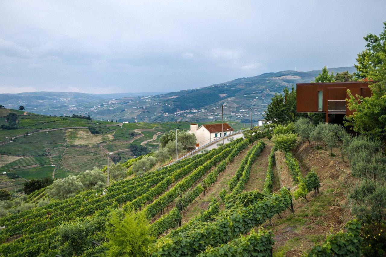 Marim Country Farm stay *