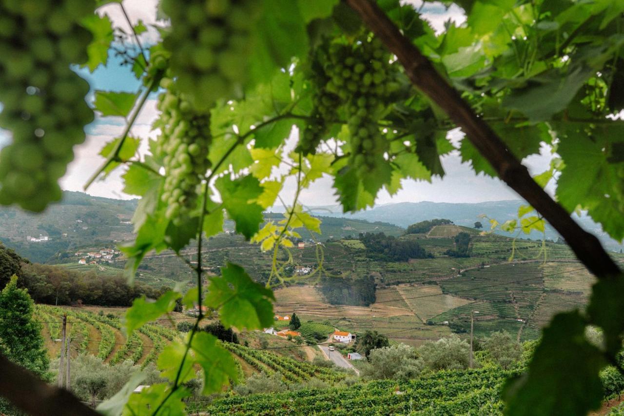 Farm stay Marim Country
