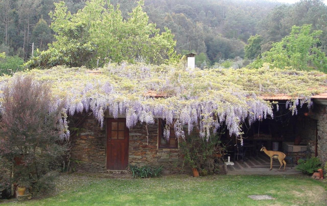 Villa T3 Quinta Da Melroa - Mountain - Caramulo Viseu