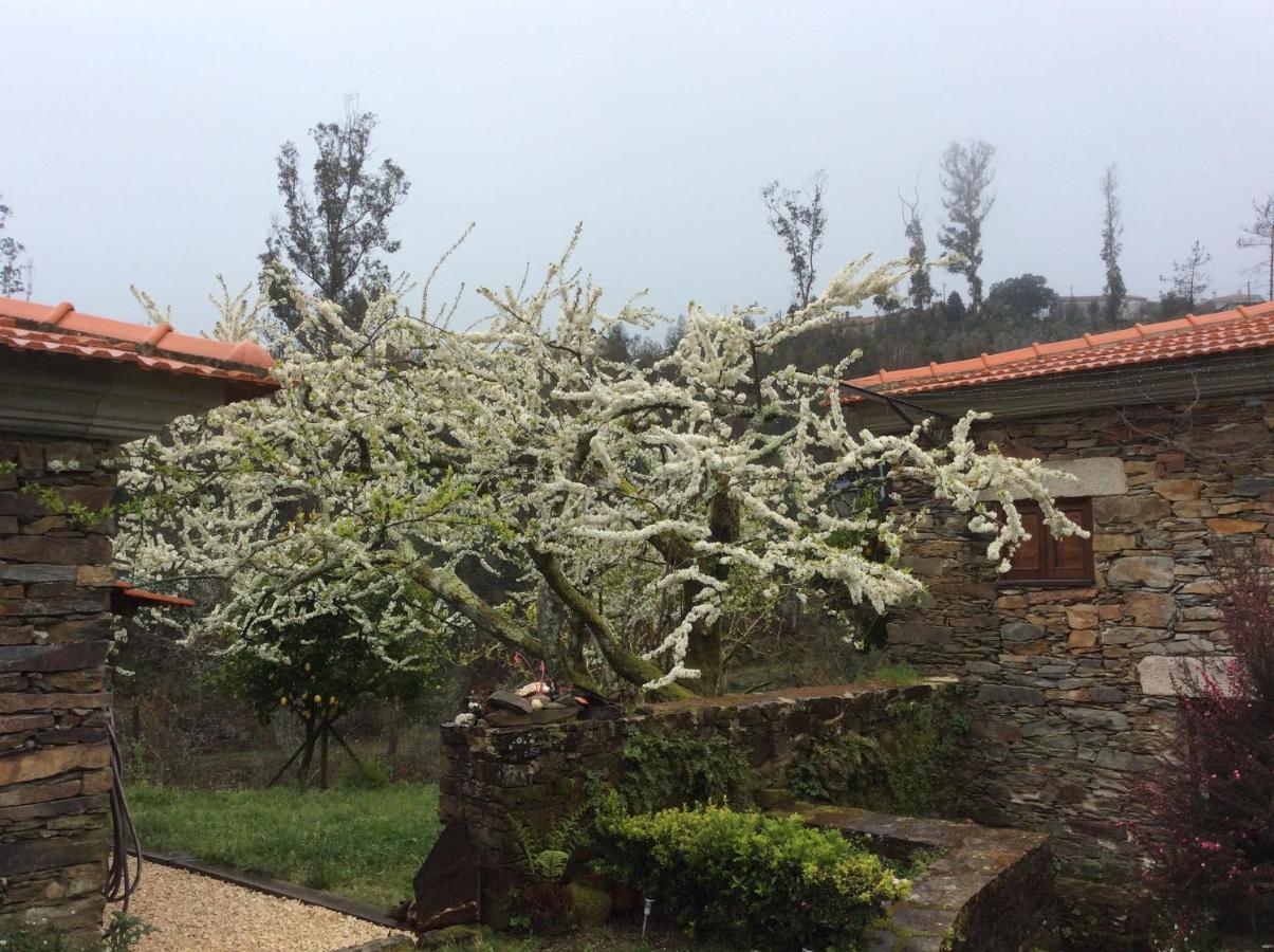T3 Quinta Da Melroa - Mountain - Caramulo Villa *