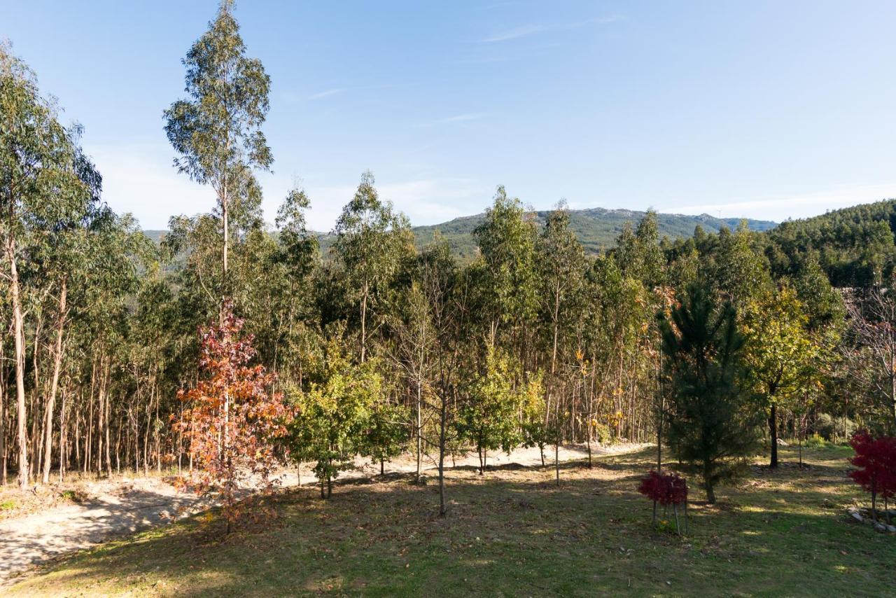 T3 Quinta Da Melroa - Mountain - Caramulo