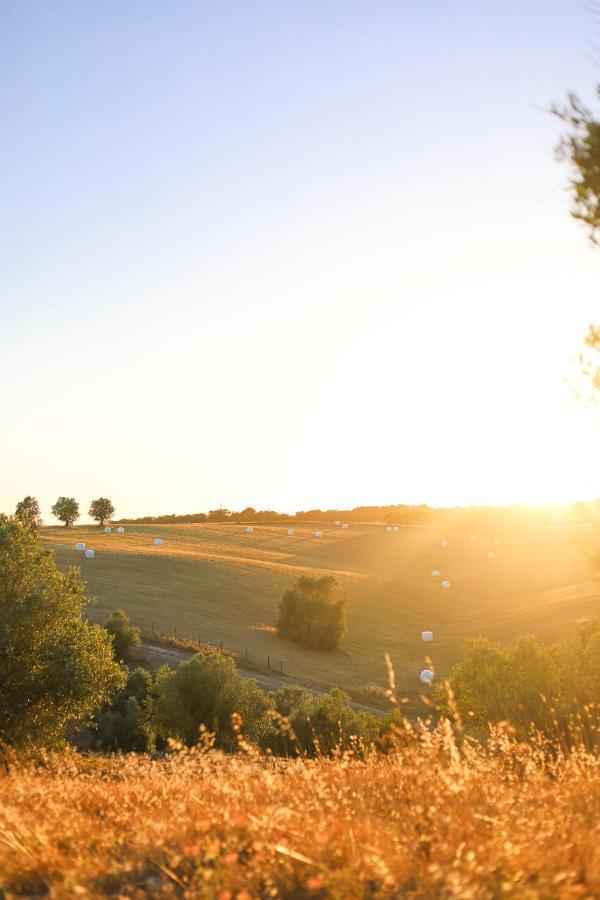Sleep&nature Hotel 4*