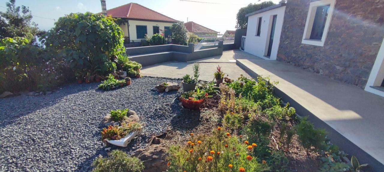 Apartment Casa Magic Vieira New Well Located With Services Arco da Calheta (Madeira)