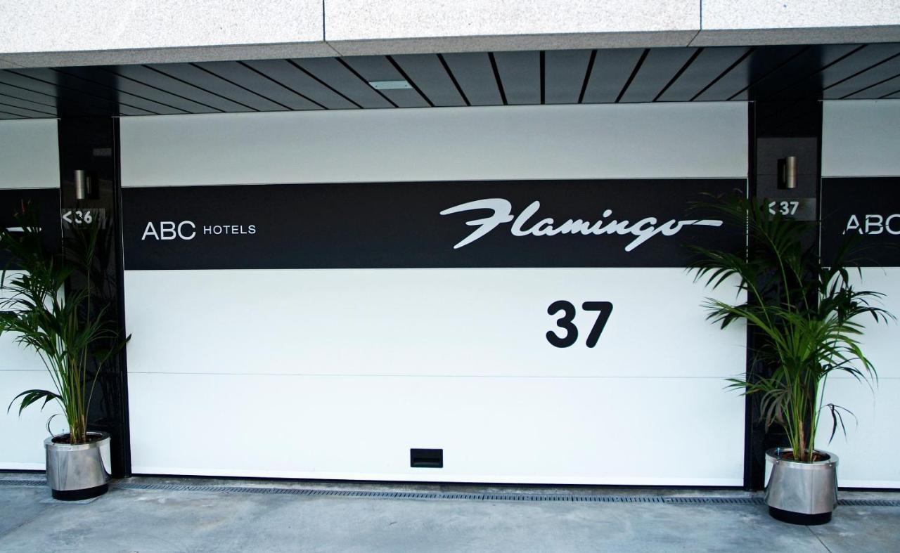Flamingo * Perafita