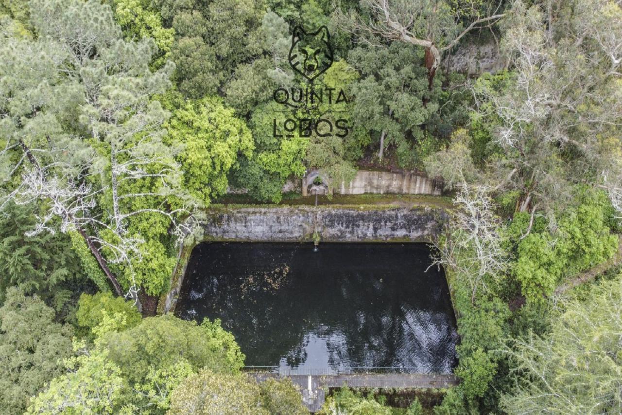 Quinta Dos Lobos Boutique - Nature Experience Hotel Sintra