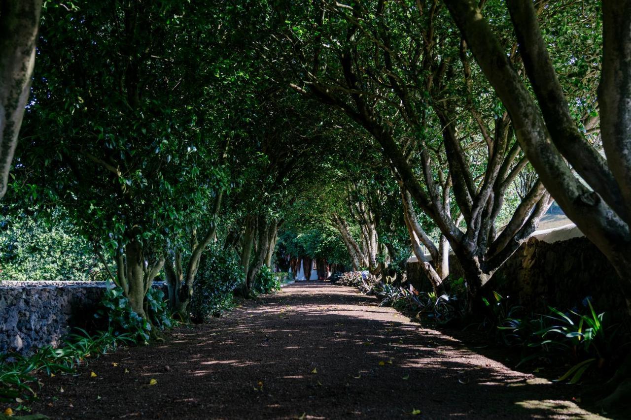 Monte Ingles Farm stay Ponta Delgada (Sao Miguel)