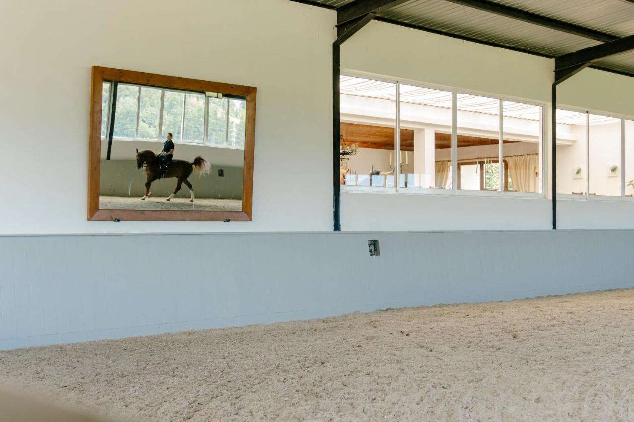 Farm stay Monte Ingles Ponta Delgada (Sao Miguel)