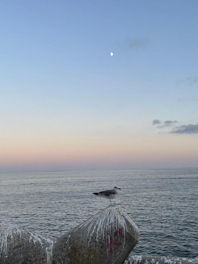 Appartement O Som Ondas - Vista Soberba De Mar