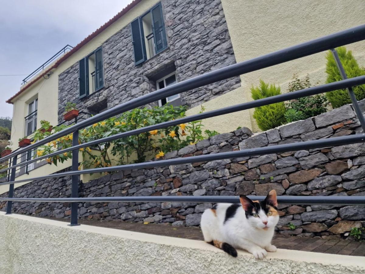 Holiday home Valley House Madeira