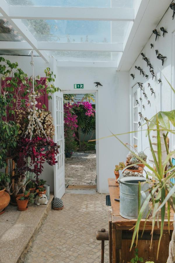 Senhora Do Cabo Meco Homy Holidays Guest house