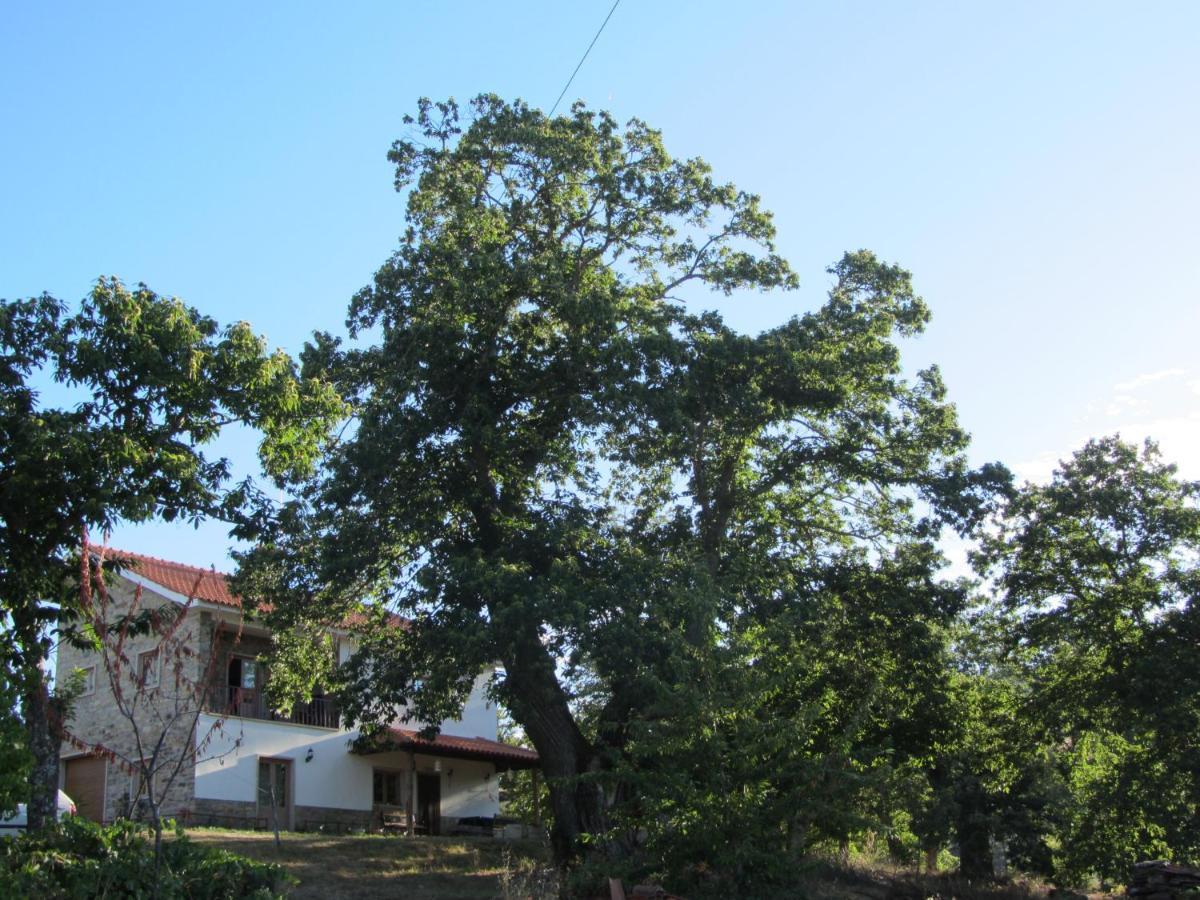 O Bilhó Vinhais