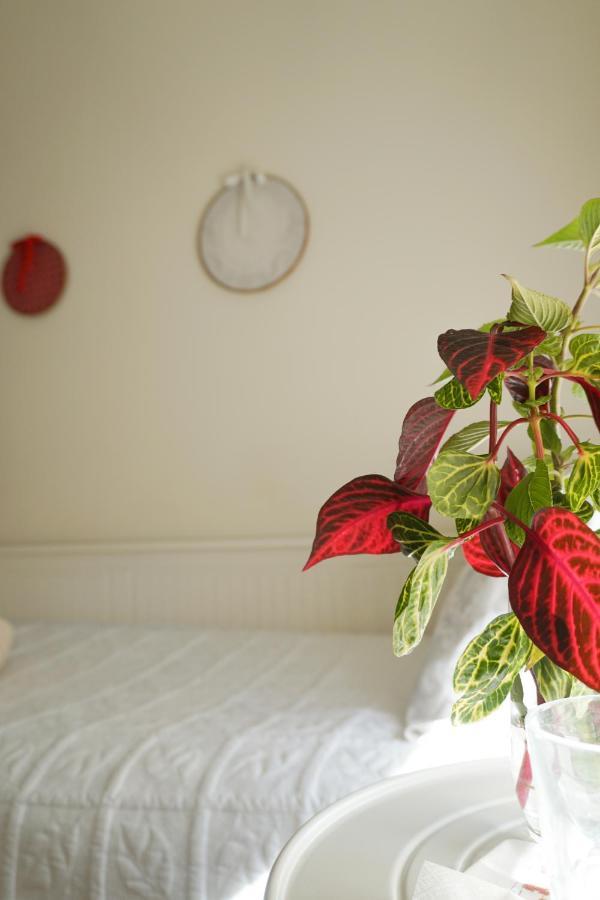 Homestay Jardim Da Celeste *