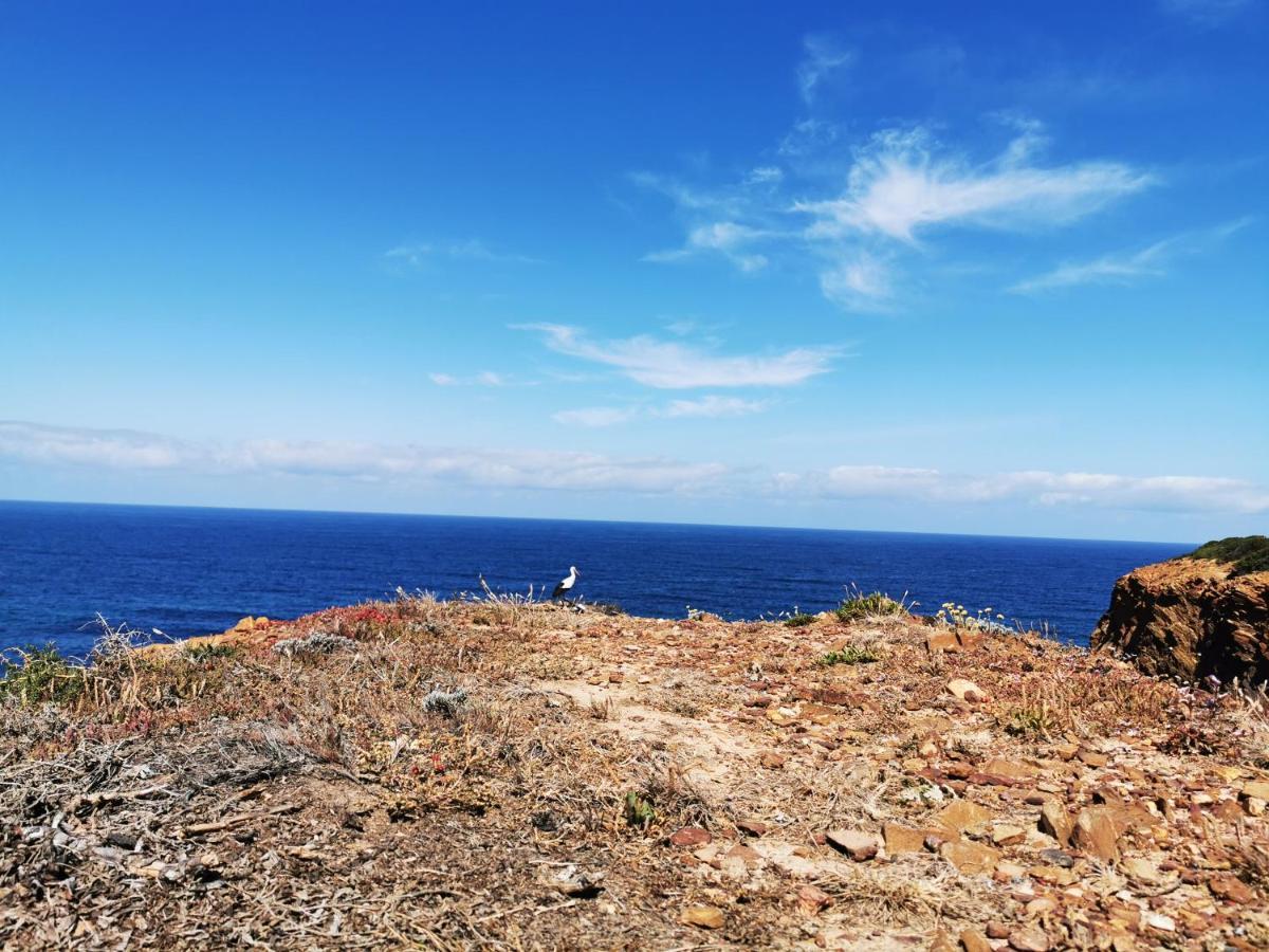 Casa de férias Quinta Do Paraiso Sao Teotonio