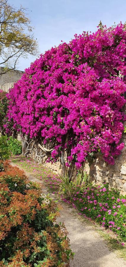 Apartment Cosy Holidays Tavira