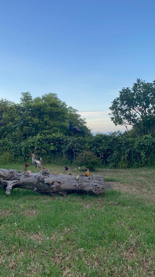 Quinta Almas * São Roque do Pico