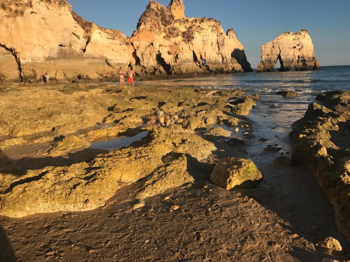Saltwater * Portimao