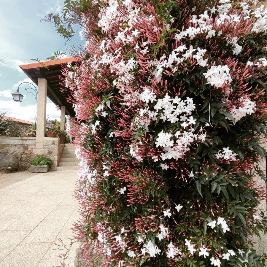 Casas Casal Do Carvalhal - Country house