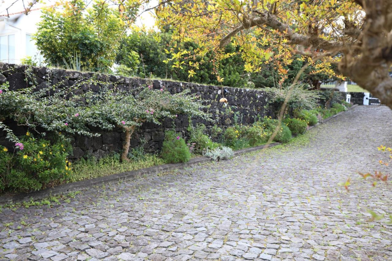 Casa Cor De Rosa Holiday home Madalena (Azores)