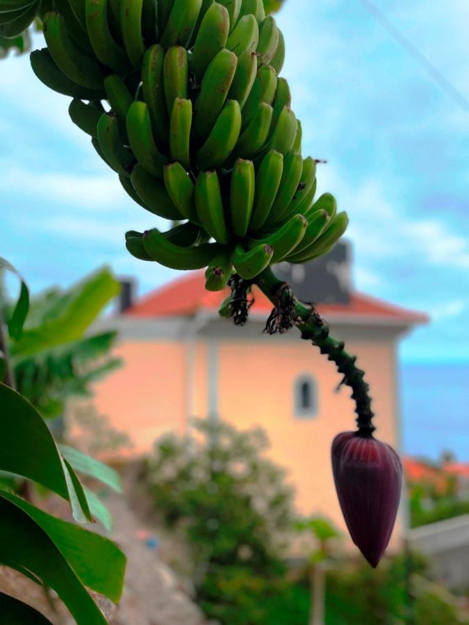 Escola Da Bica * Arco da Calheta (Madeira)
