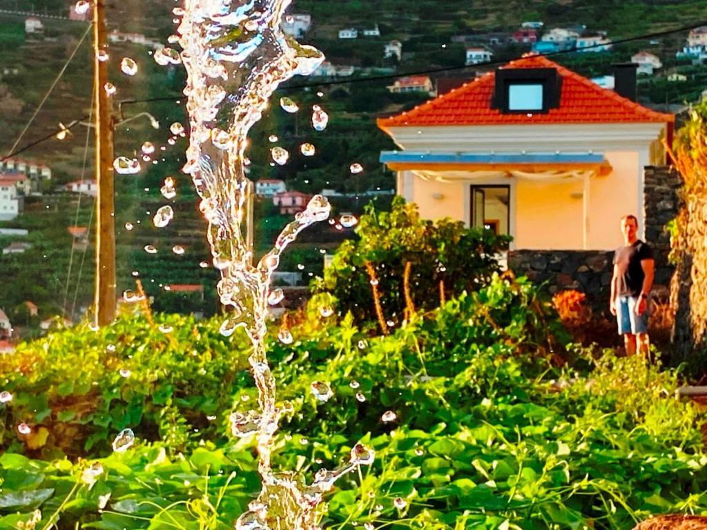 Escola Da Bica * Arco da Calheta (Madeira)