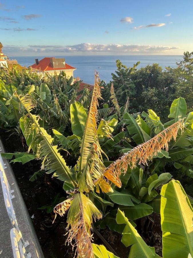 Escola Da Bica Arco da Calheta (Madeira)