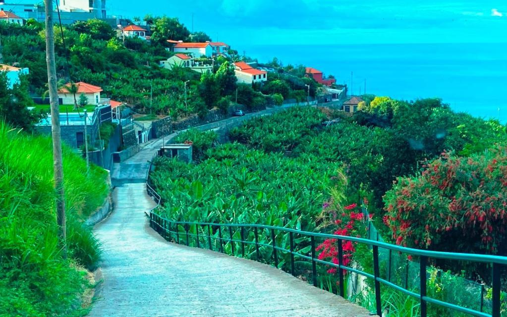 Escola Da Bica Holiday home